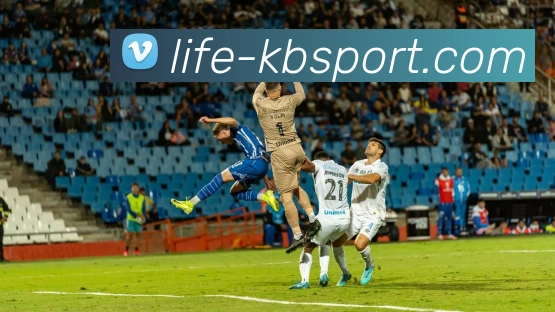 KB体育官网平台生态图