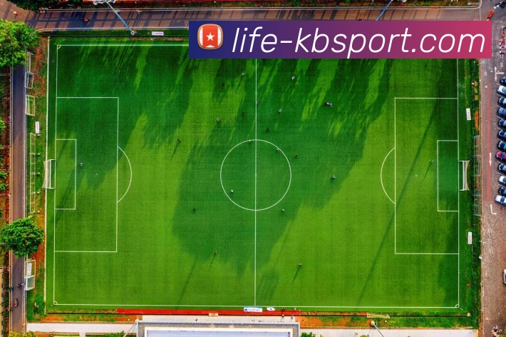 KB体育官网全站App